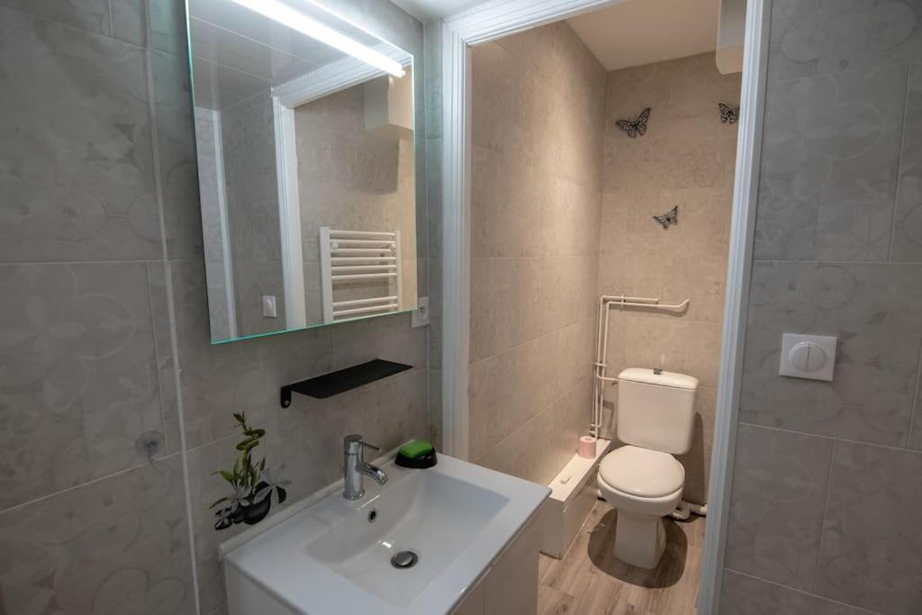 Studio Place De La Barre Le Cosy Διαμέρισμα Mâcon Εξωτερικό φωτογραφία