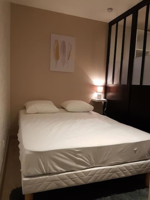 Studio Place De La Barre Le Cosy Διαμέρισμα Mâcon Εξωτερικό φωτογραφία